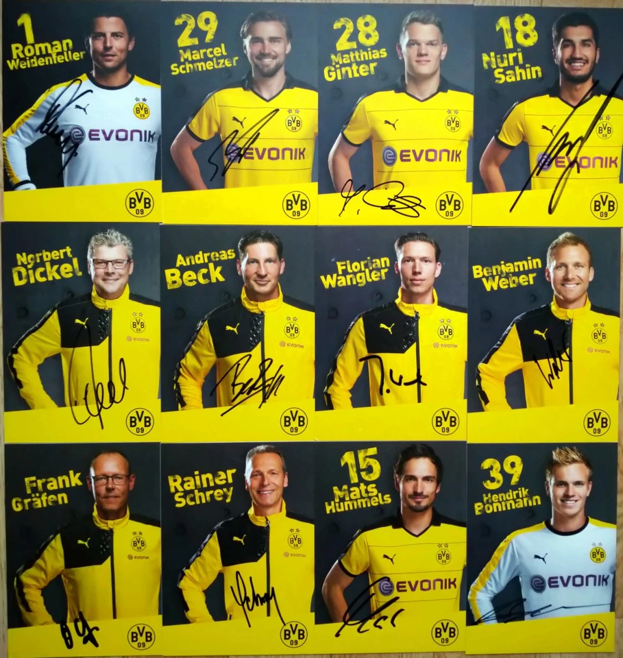 Borussia Dortmund 2015/16 original handsignierte Autogrammkarten  BVB 09 - Bild 1 von 1