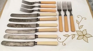 12 CUCHILLOS Y TENEDORES de acero inoxidable George H. Cowen Sheffield England asas de baquelita - Imagen 1 de 7