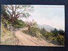 The Divide, Mount Tamalpais, California (c1908) - Unposted - Mitchell #118