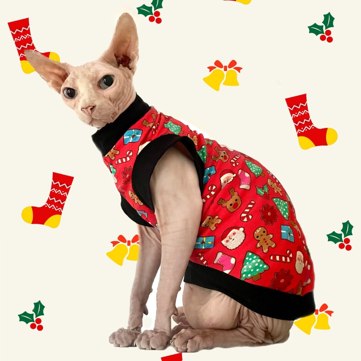 Gato Con Ropa