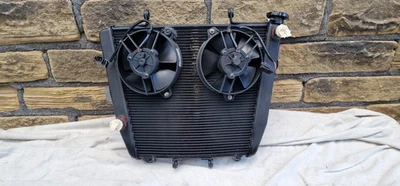 Aprilia RSV4 Factory APRC Radiator and Fans (2014) — 第 1/4 张图片