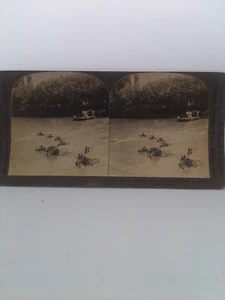 WW1 'CAVALLERIA FRANCESE CAVALLI NUOTO' B&W Scheda Stereoscopica - Foto 1 di 2
