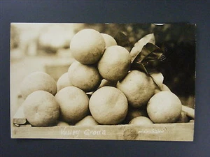 Oranges In Wood Fruit Crate Valley Grown Real Photo Postcard RPPC c1920 Antique - Picture 1 of 2