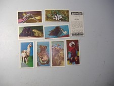 Harden Doctor Teas trade cards National Pets 9/50 variable condition