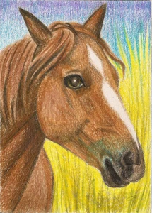 5x7 print of DRAWING RED HORSE Arabian PORTRAIT RYTA FOLK ART COUNTRY Farm 🌼 - Picture 1 of 1