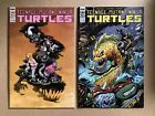 Teenage Mutant Ninja Turtles  TMNT #108 Cover A + B Set IDW