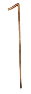 Vintage Antique Estate T-Handle Walking Stick Cane Knobby Natural Wood Old 35” - Picture 1 of 13
