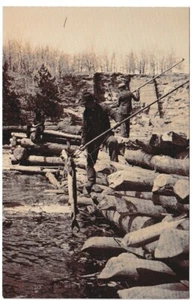 Spearing Sturgeon In The Lower Dells, Wisconsin, Vintage Chrome Sepia Postcard - Imagen 1 de 2