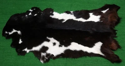 Alfombra de piel de taxidermia occidental CABRA patrón natural piel de cabra cuero de cabra SA-1060 Foto 1 de 3
