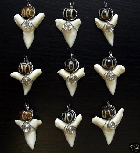 Haizahn Zahn Anhänger Surfer Kette Shark Mako BEACH Hai Haifischzahn Tierfossil  - Bild 1 von 1