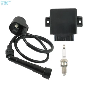 3089613 Ignition Coil Spark Plug CDI Box For Polaris Predator 500 2005 2006-07 - Imagen 1 de 10