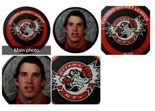 OTTAWA 67'S OHL OFFICIAL GAME PUCK UNKNOWN PLAYER STICKER LOGO VICEROY CANADA