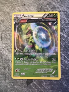 Sceptile 9/160 Holo Rare Pokémon Card- Primal Clash - Picture 1 of 4
