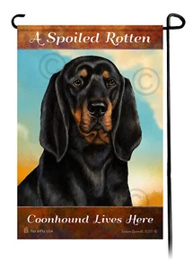 Hier lebt ein verwöhnter fauler schwarz-brauner Coonhound - Bild 1 von 1