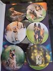 DOGS  Set Of 6 Large Velco Stickers For Schoolbags Backpack Rucksacks NEW.