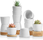 2.5 Inch Small White Succulent Planter Pots With Bamboo Tray Round Set Of 12, Ce
