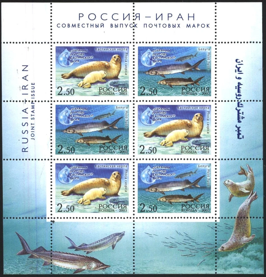 Mint stamps in miniature sheet Fauna Seal Fishes Joint issue 2003 Russia  avdpz - Image 1 of 1