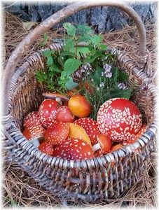 Wald Pilze Deko für den Herbst - Bild 1 von 4