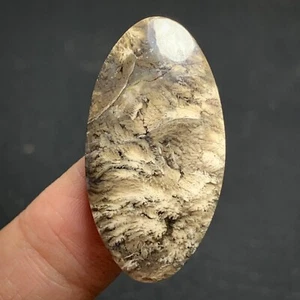 Natural Plume Agate 33x18x5.5mm High Quality Cabochon 26 ct - Picture 1 of 7