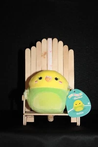 NUEVO CON ETIQUETAS 2.5" Micromallow de Squishmallow - "Nellie the Perikeet" MM2 #333 - Imagen 1 de 2