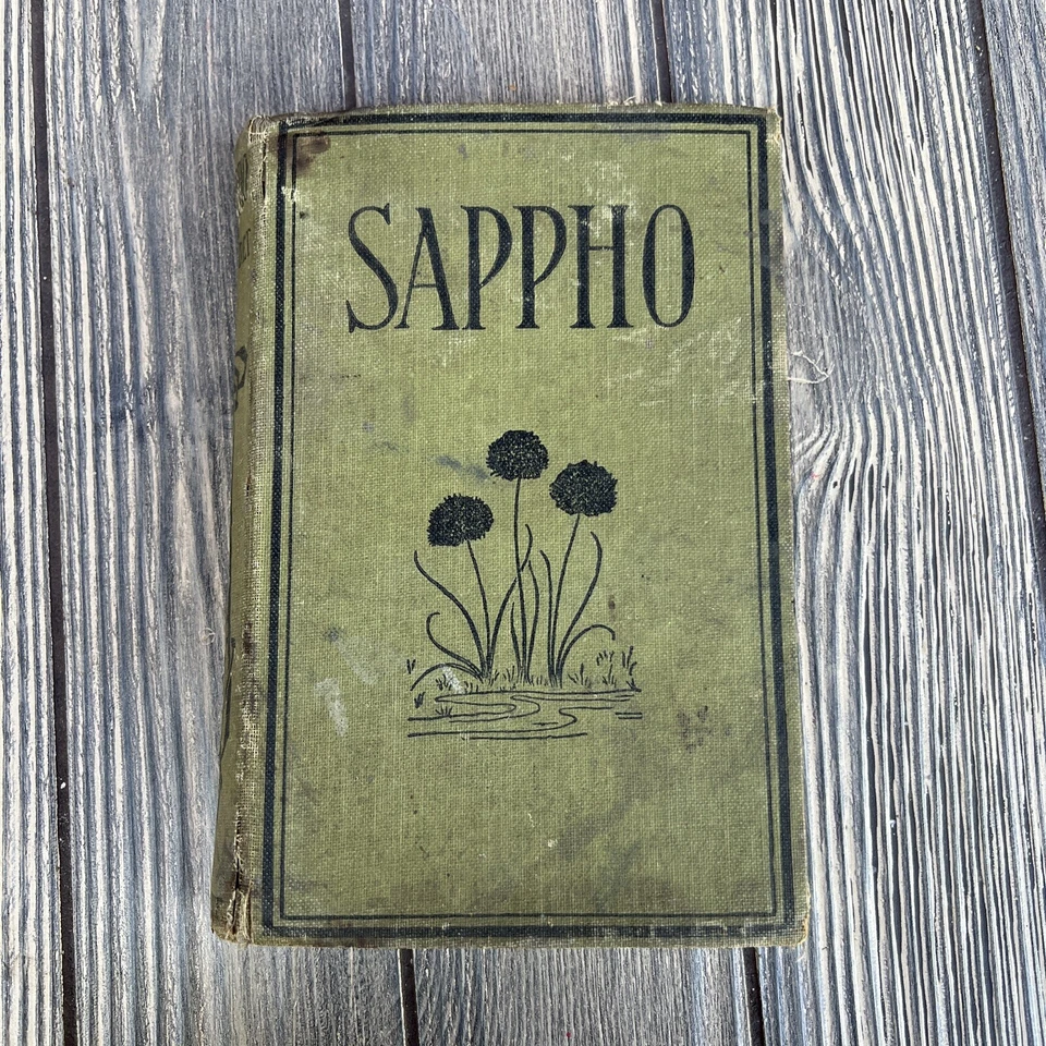Sappho by Alphonse Daudet Parisian Manners Vintage Hardcover Book. Foto 1 de 4