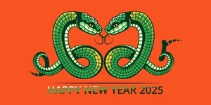 Año Nuevo Chino 2025 - Año de la Serpiente de Madera - Foto Impresa Brillante 4x6 - Imagen 1 de 1