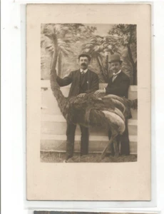 RPPC JACKSONVILLE FLORIDA STUDIO PHOTO FLORIDA OSTRICH FARM REAL PHOTO POSTCARD - Picture 1 of 1