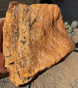 Madera Petrificada Arizona Rainbow 3p 13oz Buena Calidad - Imagen 1 de 7