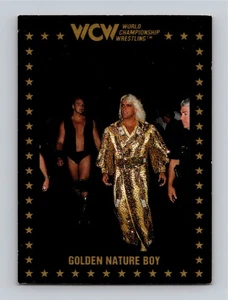Ric Flair 1991 Championship Marketing WCW Golden Nature Boy #68 HOF EX-NM - Picture 1 of 2