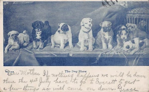 Postal de sello de un centavo de colección de perros cachorros publicada en 1907 - Imagen 1 de 2