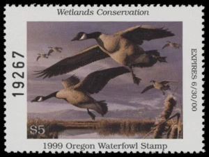 1999  Oregon State Duck Stamp Mint Never Hinged. Original Gum  - Picture 1 of 1