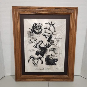 Alaskan Wildlife Alaska Mint Bill Devine 1977 Etched Marble Framed 16.5" X 13.5" - Picture 1 of 8
