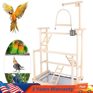 Pet Parrot Playstand Parrots Bird Playground Bird Play Stand Wood Perch Gym Play - Picture 1 of 9