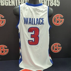 Ben Wallace Detroit Pistons Signed Jersey Autographed Steiner CX COA - Picture 1 of 3