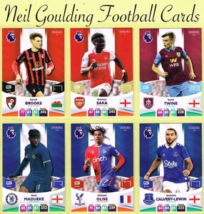 Panini PREMIER LEAGUE 2023-2024 ☆ Adrenalyn XL ☆ Football Cards #10 to #189