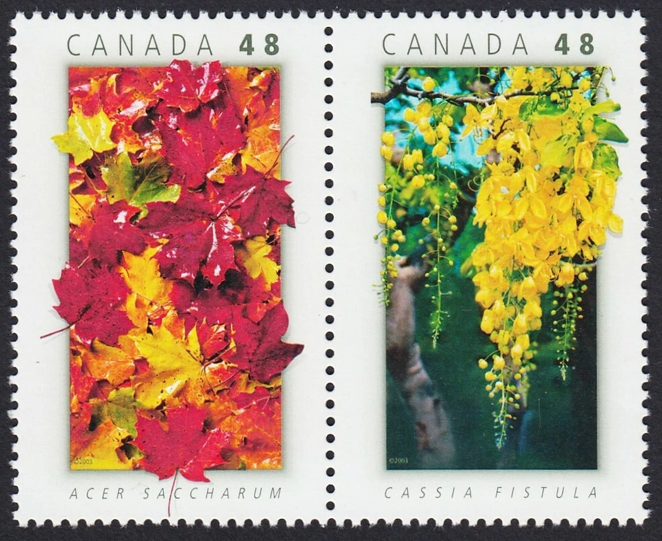 CANADA THAILAND JOINT ISSUE = MAPLE, CASSIA = Type-1 pair Canada 2003 #2001a MNH - Image 1 of 1