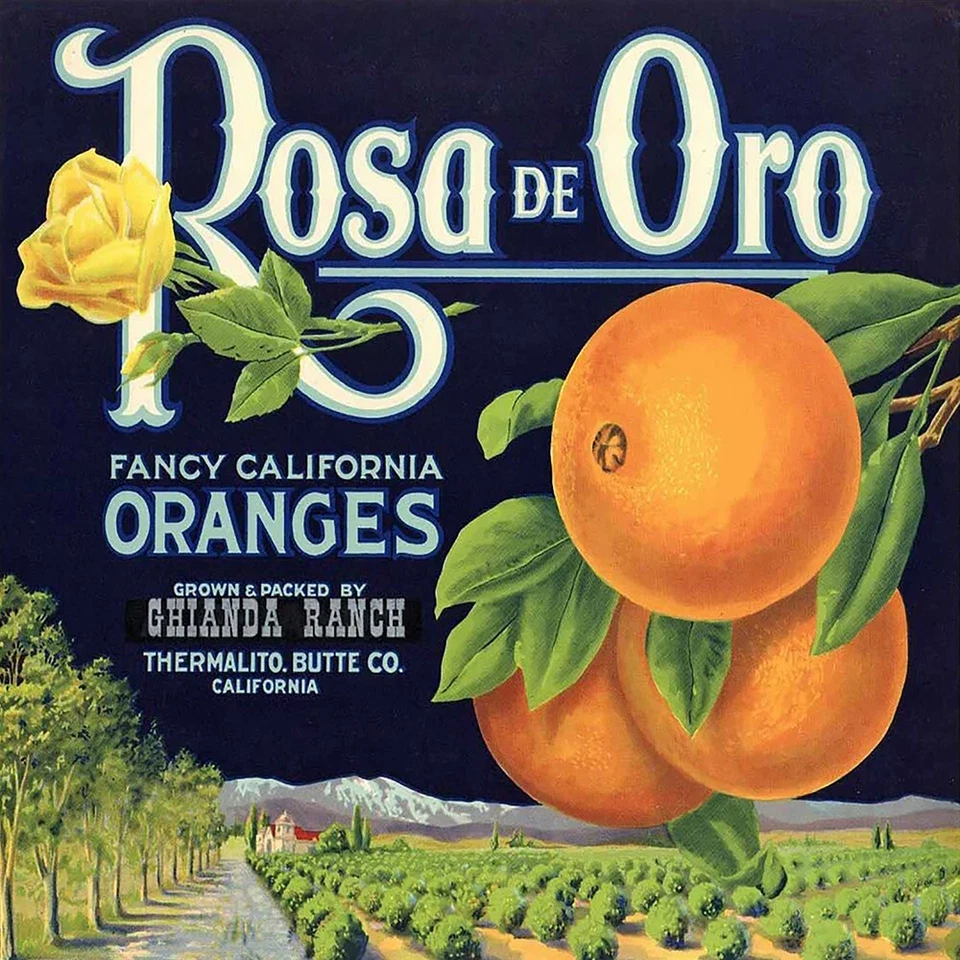 Letrero de acero reproducción etiqueta caja naranja California vintage ENVÍO GRATUITO Foto 1 de 1