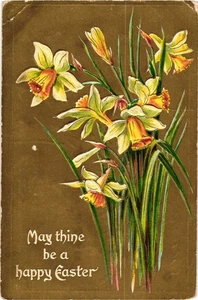 Postal de Pascua de colección de 1910 flores de narciso vacaciones Kansas publicada - Imagen 1 de 2