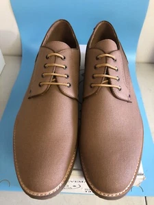 Tela bronceada Steve Madden para hombre con noticias NEWS02M1 EE. UU. 13 - Imagen 1 de 6
