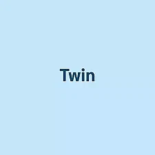 Twin