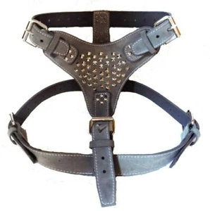 Extra Large Heavy Duty Grey Leather Dog Harness with Studds - Picture 1 of 1