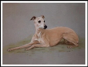 WHIPPET DOG AT REST LOVELY DOG ART PRINT POSTER - Picture 1 of 1