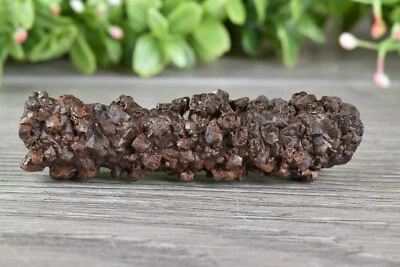 Prophecy Stone Pseudomorph Hematite after Marcasite from Egypt  6.8 cm   # 21413 - Image 1 of 4