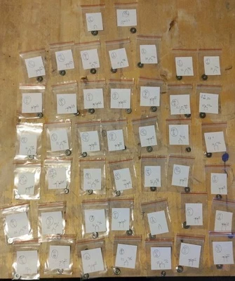 Outils Horloger Lot De Fraise A Tailler Les Pignon Pour Tour D'horlogerie   - Photo 1/4