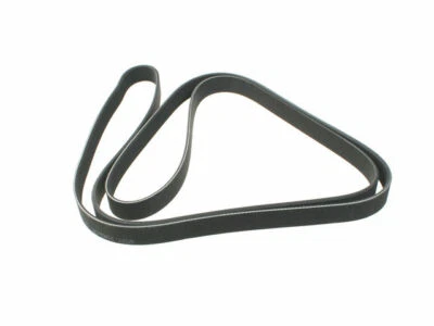 Cinturón multi costilla para Ram ProMaster 2500 2014-2019 24935WH 2015 2016 2017 2018 Foto 1 de 2