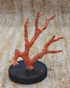 Mediterranean Red Coral Unpolished Loose Specimen - Italian Red Coral Rough Tree - Picture 1 of 5