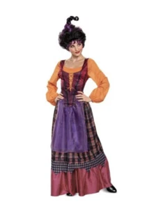 Erwachsene Hocus Pocus Mary Sanderson Kleid Damen Halloween Kostüm S (4-6) - Bild 1 von 9