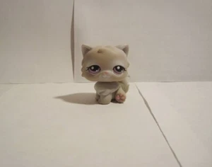 LITTLEST PET SHOP CAT KITTEN # 263 CREAM GREY GRAY PERSIAN PURPLE EYES Long Hair - Picture 1 of 3