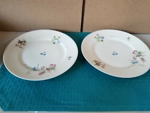 19th Century Haviland Co Limoges Floral Pattern Pair Salad Plates 1876-1889 RARE - Picture 1 of 3