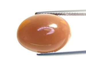 12.450CTS Orange brown natural moonstone oval cabochon loose gemstones - Picture 1 of 3